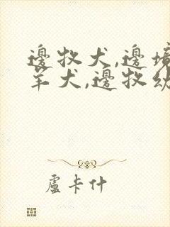 边牧犬,边境牧羊犬,边牧幼犬