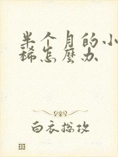 半个月的小狗拉稀怎么办