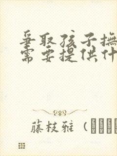 争取孩子抚养权需要提供什么证据