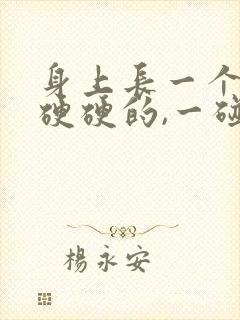 身上长一个大包硬硬的,一碰就疼