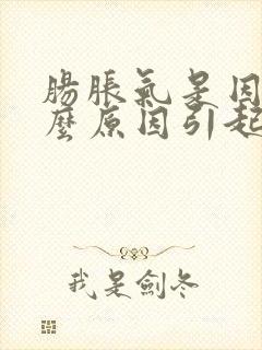 肠胀气是因为什么原因引起的封面