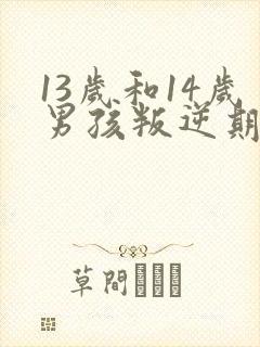 13岁和14岁男孩叛逆期怎么办