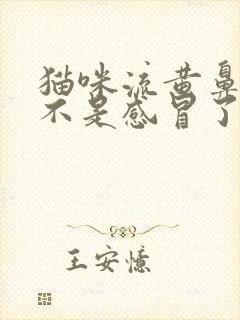 猫咪流黄鼻涕是不是感冒了封面