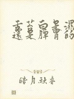 舌苔白是湿气重还是脾胃的问题