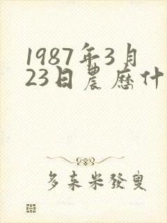1987年3月23日农历什么命