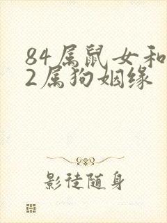 84属鼠女和82属狗姻缘