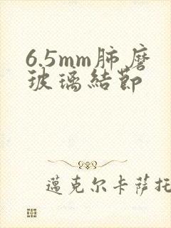 6.5mm肺磨玻璃结节封面