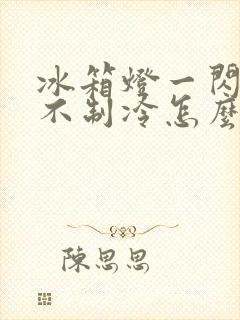 冰箱灯一闪一闪不制冷怎么回事