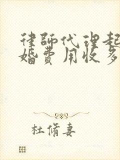 律师代理起诉离婚费用收多少封面