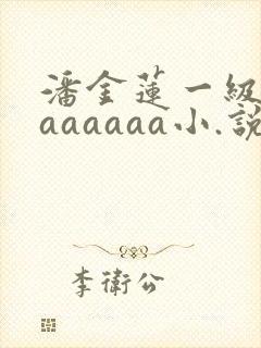 潘金莲一级淫片aaaaaa小.说