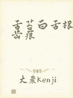 舌苔白舌根黄有齿痕封面