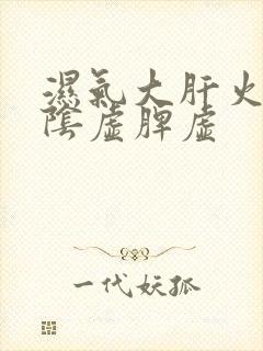 湿气大肝火旺肾阴虚脾虚