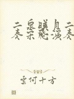 二泉映月二胡独奏宋飞演奏