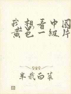 我想看中国国产黄色一级片