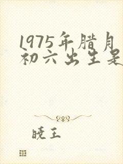 1975年腊月初六出生是什么命