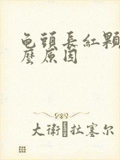 龟头长红颗粒什么原因