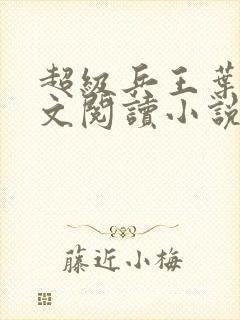 超级兵王叶谦全文阅读小说封面