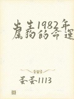 出生1982年属狗的命运如何啊