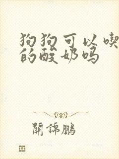 狗狗可以吃人吃的酸奶吗