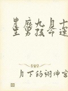 农历九月十五出生男孩命运封面