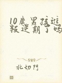 10岁男孩进入叛逆期了吗