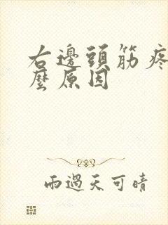 右边头筋疼是什么原因