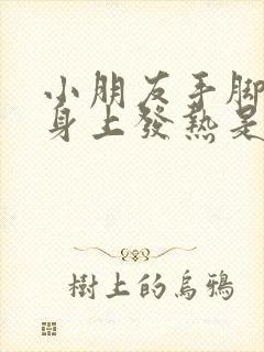 小朋友手脚冰凉身上发热是怎么回事