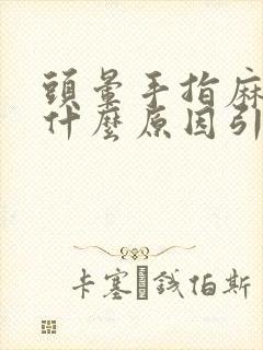 头晕手指麻木是什么原因引起的