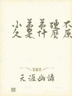 小弟弟硬不了多久是什么原因