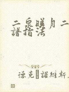 二泉映月二胡简谱指法