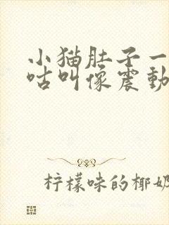 小猫肚子一直咕咕叫像震动