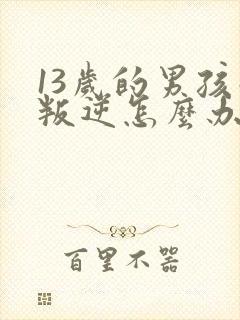 13岁的男孩子叛逆怎么办