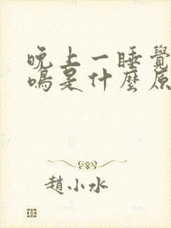 晚上一睡觉就耳鸣是什么原因