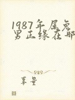 1987年属兔男正缘在哪年