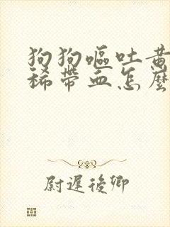 狗狗呕吐黄水拉稀带血怎么回事