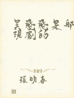 吴飞飞是哪部电视剧的封面