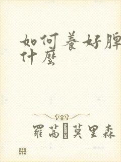 如何养好脾胃吃什么