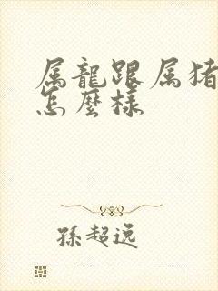 属龙跟属猪姻缘怎么样