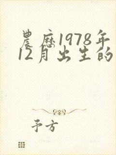 农历1978年12月出生的命运