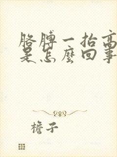 胳膊一抬高就疼是怎么回事