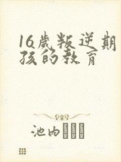 16岁叛逆期男孩的教育