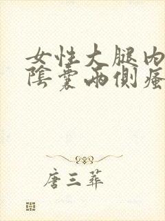 女性大腿内侧与阴囊两侧瘙痒潮湿发黑封面