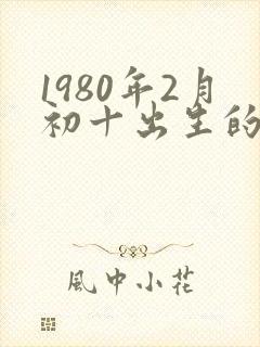1980年2月初十出生的人命运如何