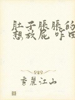 肚子胀胀的一直想放屁 咋回事