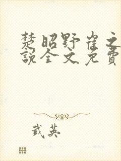 楚昭野崔之棠小说全文免费阅读