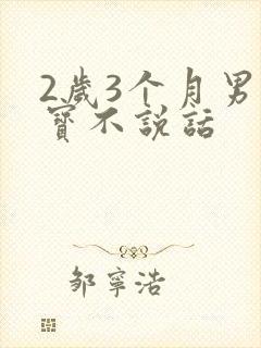 2岁3个月男宝宝不说话