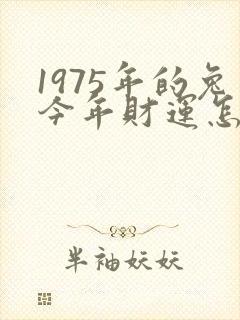 1975年的兔今年财运怎么样
