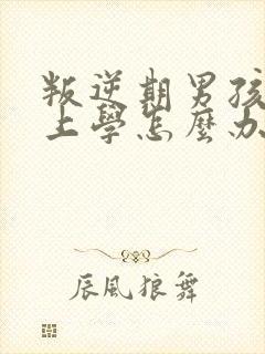 叛逆期男孩不愿上学怎么办