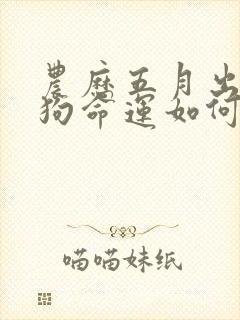 农历五月出生的狗命运如何