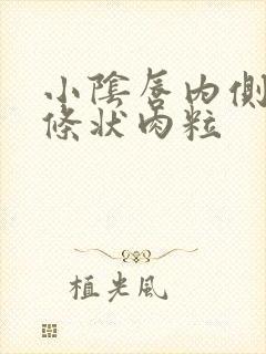 小阴唇内侧长了条状肉粒